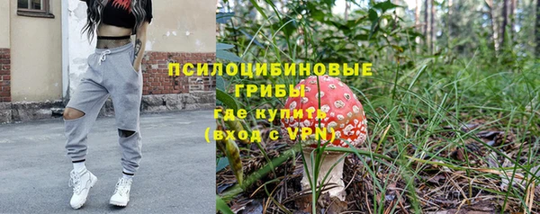 молекула духа Медногорск