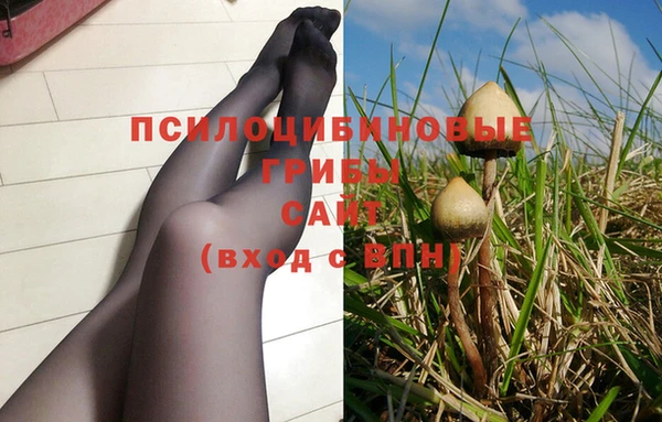 прущая мука Жердевка