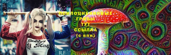 твердый Михайловск