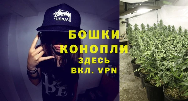МДПВ Медвежьегорск