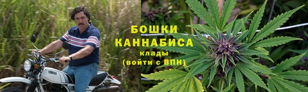 стаф Вязьма