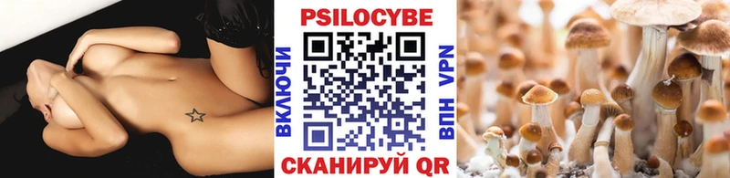 Псилоцибиновые грибы GOLDEN TEACHER  Заполярный 
