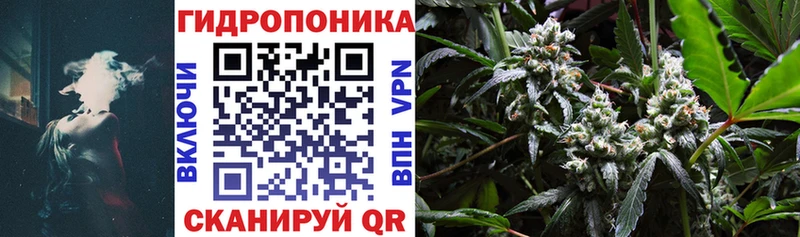Конопля план  Заполярный 